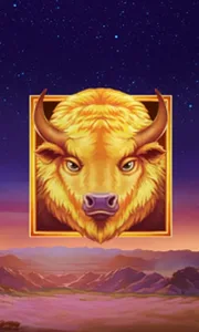 Buffalo's Sun